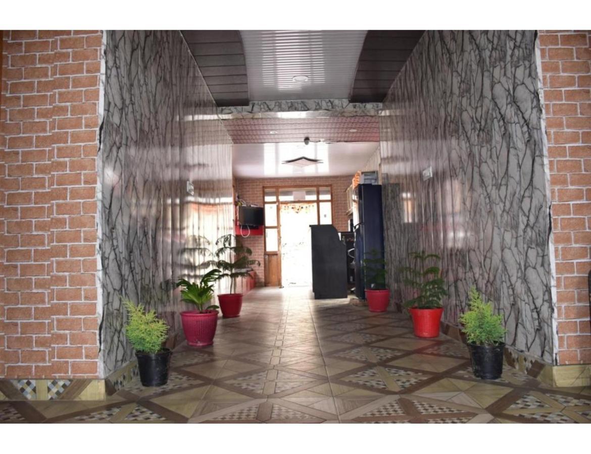 Hotel Peak View, Lahaul Sissu Exterior foto